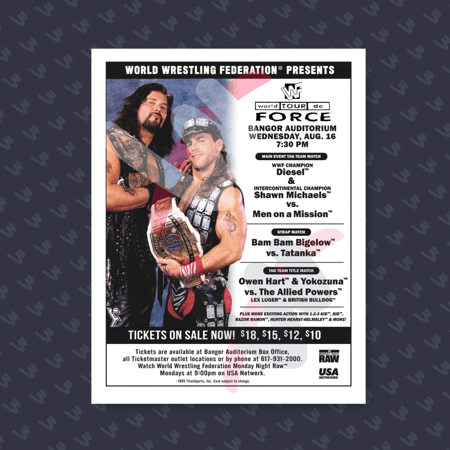 Custom/Personalized Custom Wrestling Event Advertisement (8.5x11)